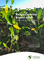 Kenya 2020 Report