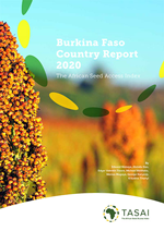 Burkina Faso 2020 Report